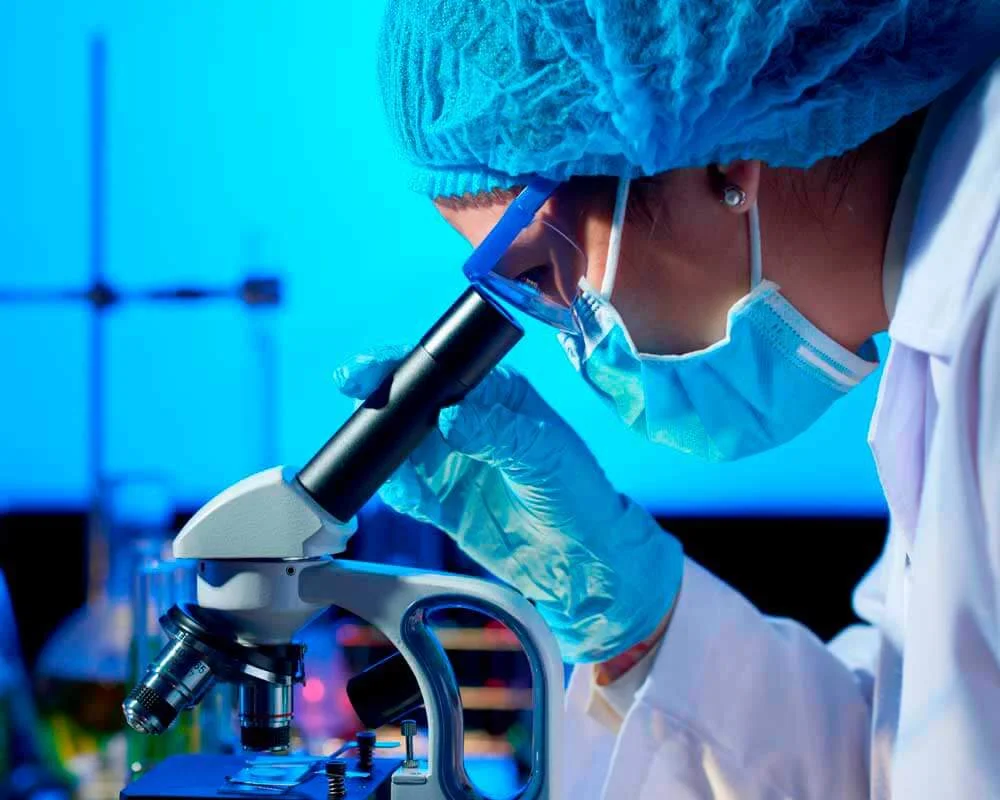 laboratorio-responsive